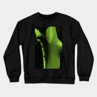 greenleaf Crewneck Sweatshirt